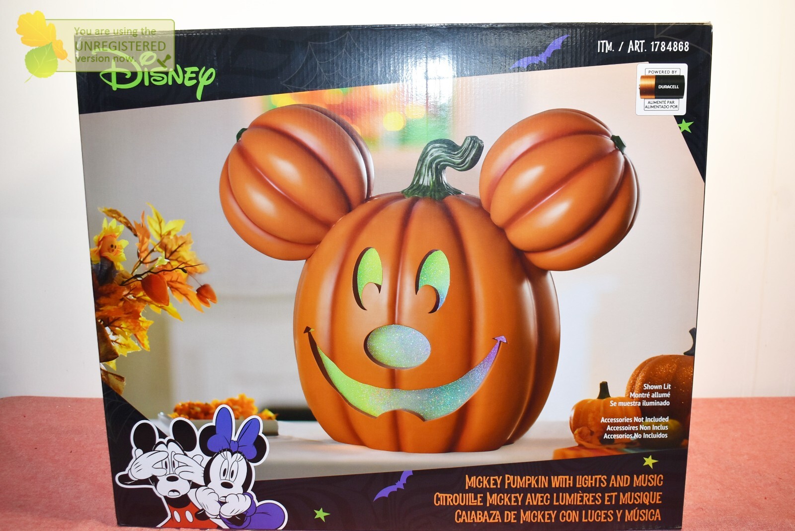 Giant Pumpkin